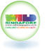 Website's logo