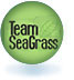 Website's logo