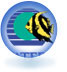 Website's logo